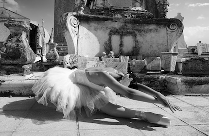 the dying swan